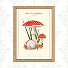 Quadro Moldura Dourada Cogumelos Vintage 33x24cm Acabamento:c