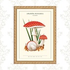 Quadro Moldura Dourada Cogumelos Vintage 45x34cm Acabamento:c