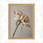 Quadro Moldura Dourada Flor Pétalas Bege 24x18cm Acabamento:c