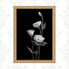 Quadro Moldura Dourada Flores Brancas Fundo Preto 24x18cm Aca