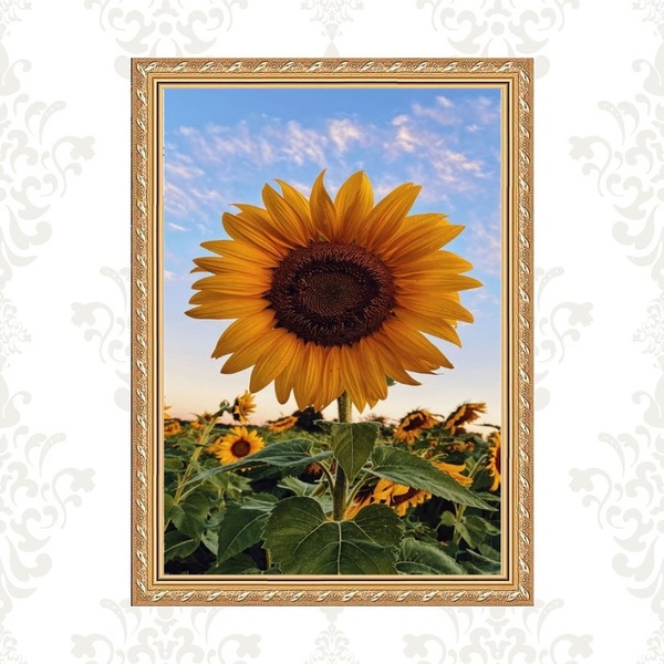 Quadro Moldura Dourada Girassol 45x34cm Acabamento:com Vidro