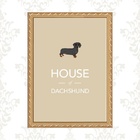 Quadro Moldura Dourada House Of Dachshund 33x24cm Acabamento: