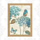 Quadro Moldura Dourada Passarinho Vintage Azul 33x24cm Acabam