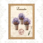 Quadro Moldura Dourada Vasinhos De Lavanda 45x34cm Acabamento