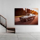 Quadro Mustang Shelby