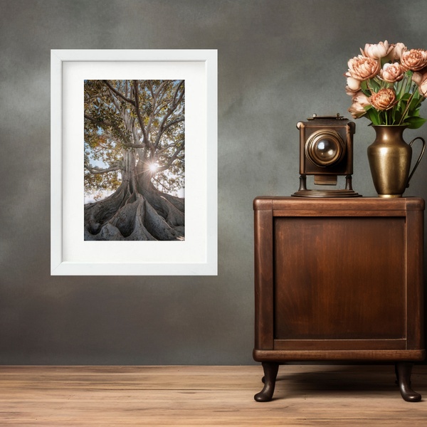 Quadro Natureza Raízes Árvore - 60x48cm Moldura Preta