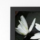 Quadro Nenúfar Branco Lírio Lótus Moldura Preta 60x40cm