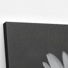 Quadro Nenúfar Pigmeu Pequeno Branco Canvas 60x40cm