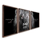 Quadro Nunca Foi Sorte, Sempre Foi Deus Modelo Religioso Com