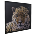 Quadro Onça  Amarelo 100x100cm