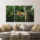 Quadro Onça Pintada Deitada No Galho Seco Na Árvore 3 Peças