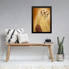 Quadro Orixá Obaluaê 45x34cm - Com Vidro Moldura:madeira Bran