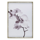 Quadro Orquídea I Dourado com Vidro 70x100cm Arte Própria