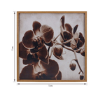 Quadro Orquídea Marrom com Vidro 100x100cm Tropical