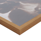 Quadro Orquídea Marrom com Vidro 100x100cm Tropical