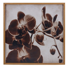 Quadro Orquídea Marrom com Vidro 100x100cm Tropical