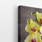 Quadro Orquídeas Amarelas Flor Em Vaso Canvas 60x40cm