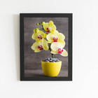 Quadro Orquídeas Amarelas Flor Em Vaso Moldura Preta 60x40cm