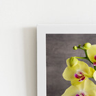 Quadro Orquídeas Amarelas Flor Vaso Moldura Branca 60x40cm