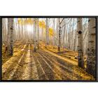 Quadro Outono 70x50 - Casa Da Moldura