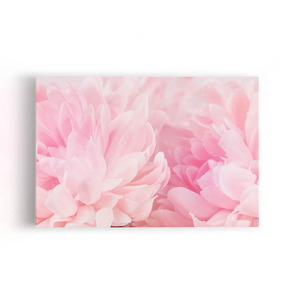 Quadro Paeonia Lactiflora Flores Rosas Canvas 120x80cm