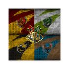 Quadro Painel Azulejos Harry Potter Decorativo 30x30cm