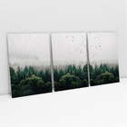 Quadro Paisagem Árvores, Pássaros, Neblina - Kit 3 Telas