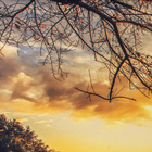 Quadro Paisagem Preto com Vidro 80x150cm Arte Própria