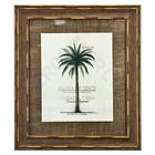 Quadro Palma de Coco 62x54cm Ventura