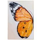 Quadro Papillon 50x75 Cm