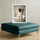 Quadro Para Banheiro Border Collie 24x18cm - Com Vidro Moldur