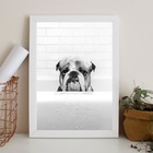 Quadro Para Banheiro Bulldog Na Banheira 24x18cm - Com Vidro