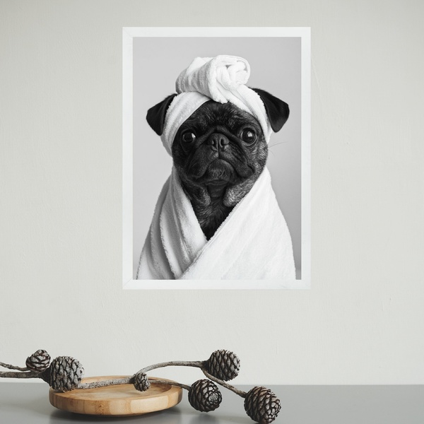 Quadro Para Banheiro Cachorrinha Pug De Roupão 33x24cm Moldur