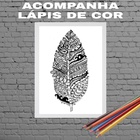 Quadro Para Colorir Pena Tribal 24x18cm - Com Vidro Moldura:m