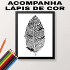 Quadro Para Colorir Pena Tribal 33x24cm - Com Vidro Moldura:m