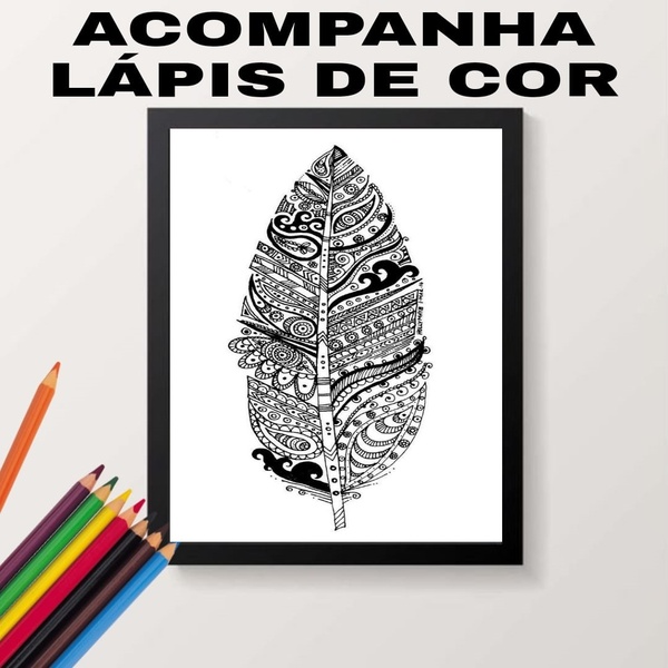 Quadro Para Colorir Pena Tribal 45x34cm Moldura:madeira Branca
