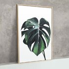 Quadro Para Decoração De Corredor Jardim Folhas Costela De Ad