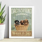 Quadro Para Lavanderia Dachshund 45x34cm - Com Vidro Moldura: