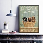 Quadro Para Lavanderia Dachshund 45x34cm - Com Vidro Moldura: