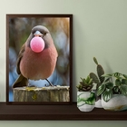 Quadro Passarinho Bubble Gum 45x34cm - Com Vidro Moldura Bran