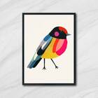 Quadro Passarinho Colorido 24x18cm Moldura:madeira Preta