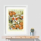 Quadro Pássarinho Com Frutas - 60x48cm Moldura Branca