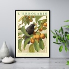 Quadro Passarinho Preto Com Frutos 33x24cm - Com Vidro Moldur