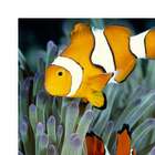 Quadro Peixes Uniart Azul 45x45cm