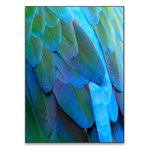 Quadros Decorativos Em Oferta Leroy Merlin