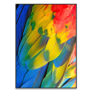 Quadros Decorativos Em Oferta Leroy Merlin