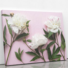 Quadro Peônia Branca Flores Em Fundo Rosa Canvas 60x40cm