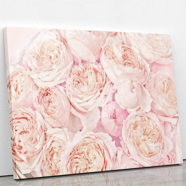 Quadro Peônia Rosa Bege Pêssego Flor Foto Canvas 100x70cm | Leroy