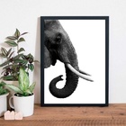 Quadro Perfil Elefante Fundo Branco 24x18cm Moldura:madeira B