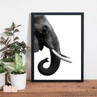 Quadro Perfil Elefante Fundo Branco 24x18cm Moldura:madeira P